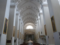 Vilnius Cattedrale